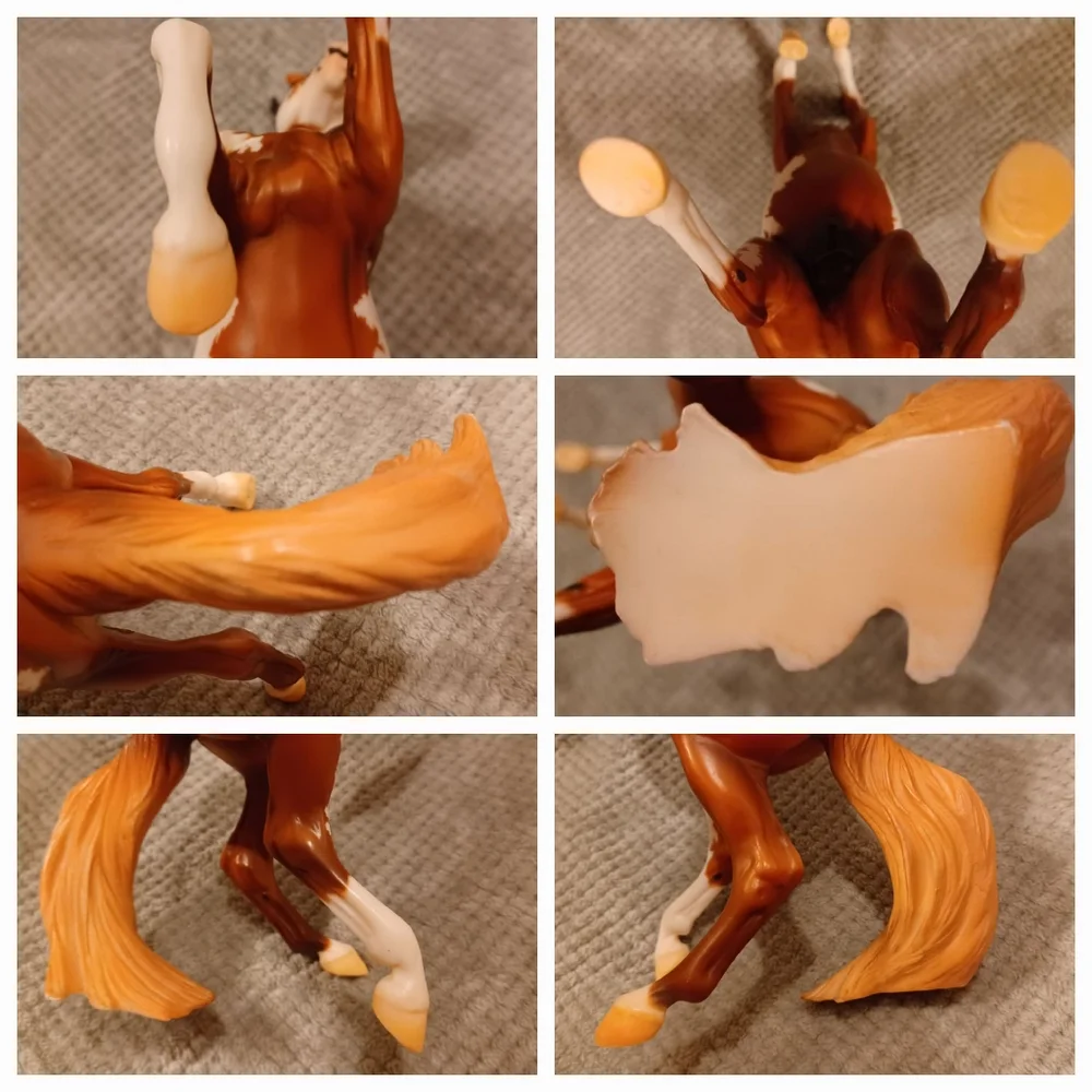 Breyer Hidalgo - Picture 15 of 16
